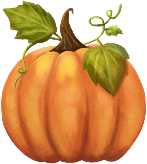 Watercolour Pumpkin Illustration